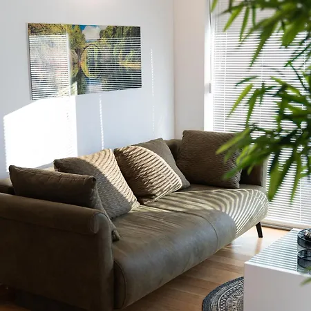 Apartment Wing 77 By Belmont Realty